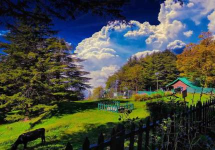 Shimla Manali Dharamshala Dalhousie Chandigarh