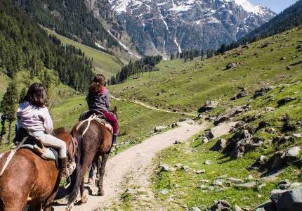 Srinagar Sonmarg Pahalgam Gulmarg 7 Days Tour